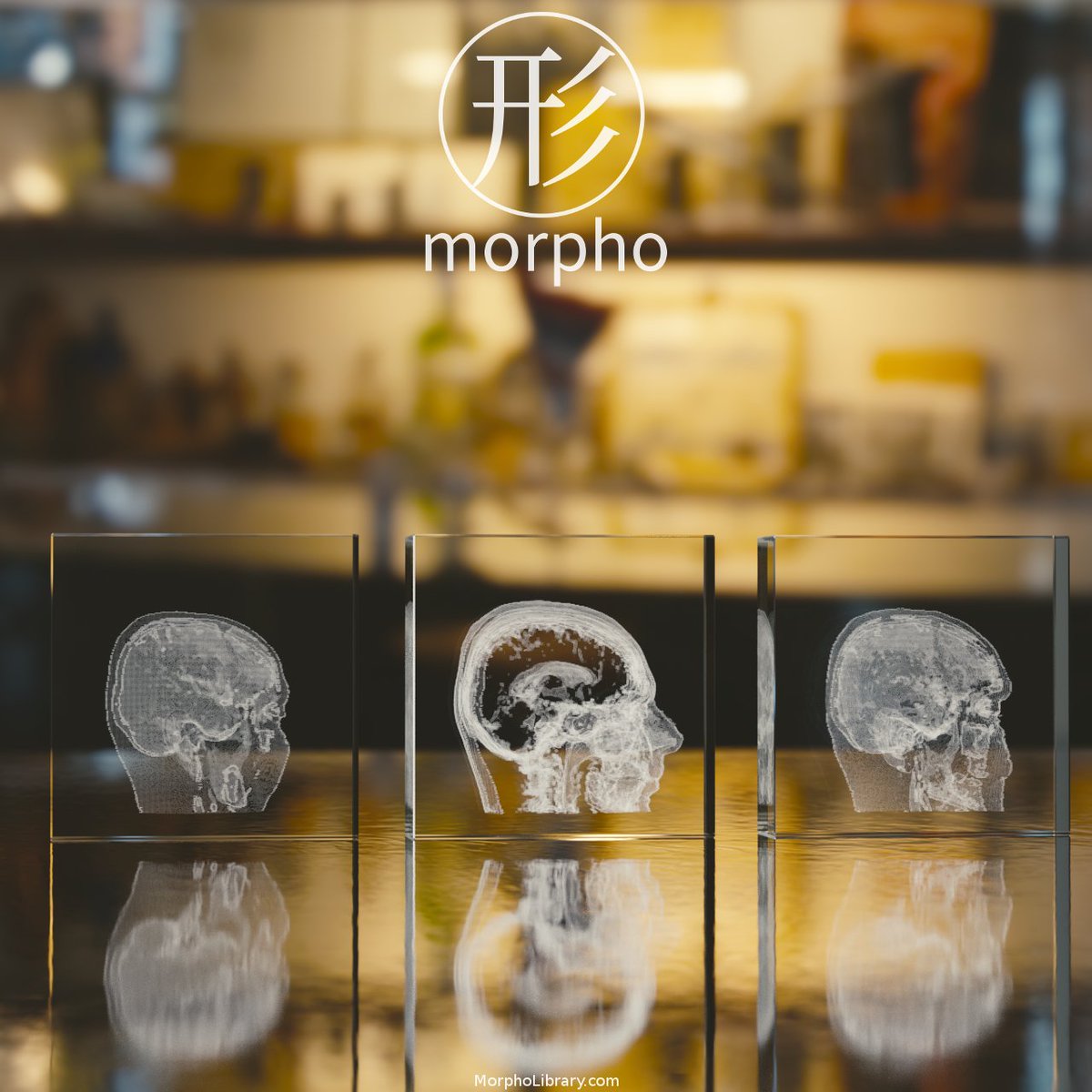 morpholibrary's tweet photo. Human brain crystal engraving, can be assembled or split in 3 pieces,😏, #glassengraving,#crystalengraving,#brain, #crystals,#3d,#gifts https://t.co/bg35p8P05T
