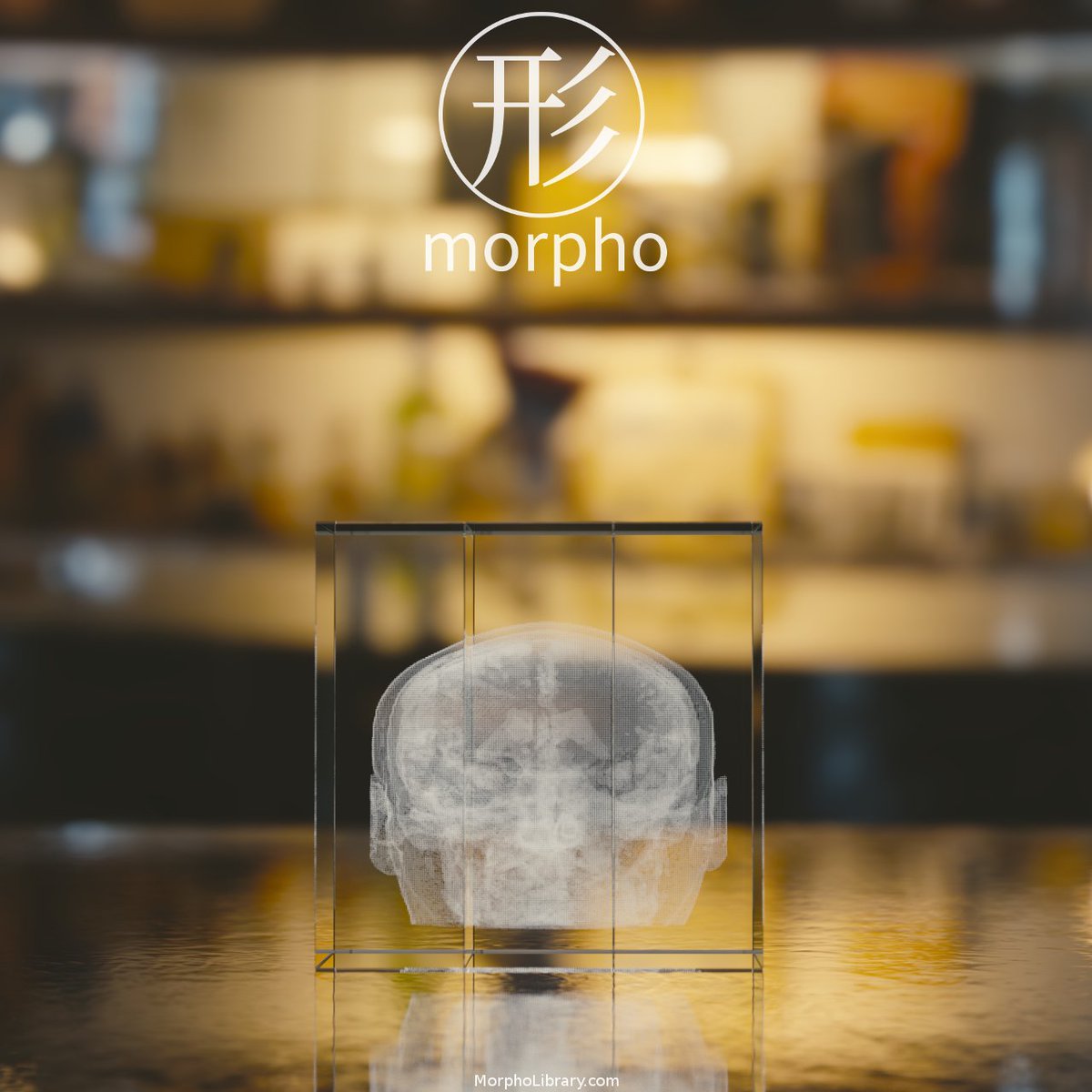 morpholibrary's tweet photo. Human brain crystal engraving, can be assembled or split in 3 pieces,😏, #glassengraving,#crystalengraving,#brain, #crystals,#3d,#gifts https://t.co/bg35p8P05T