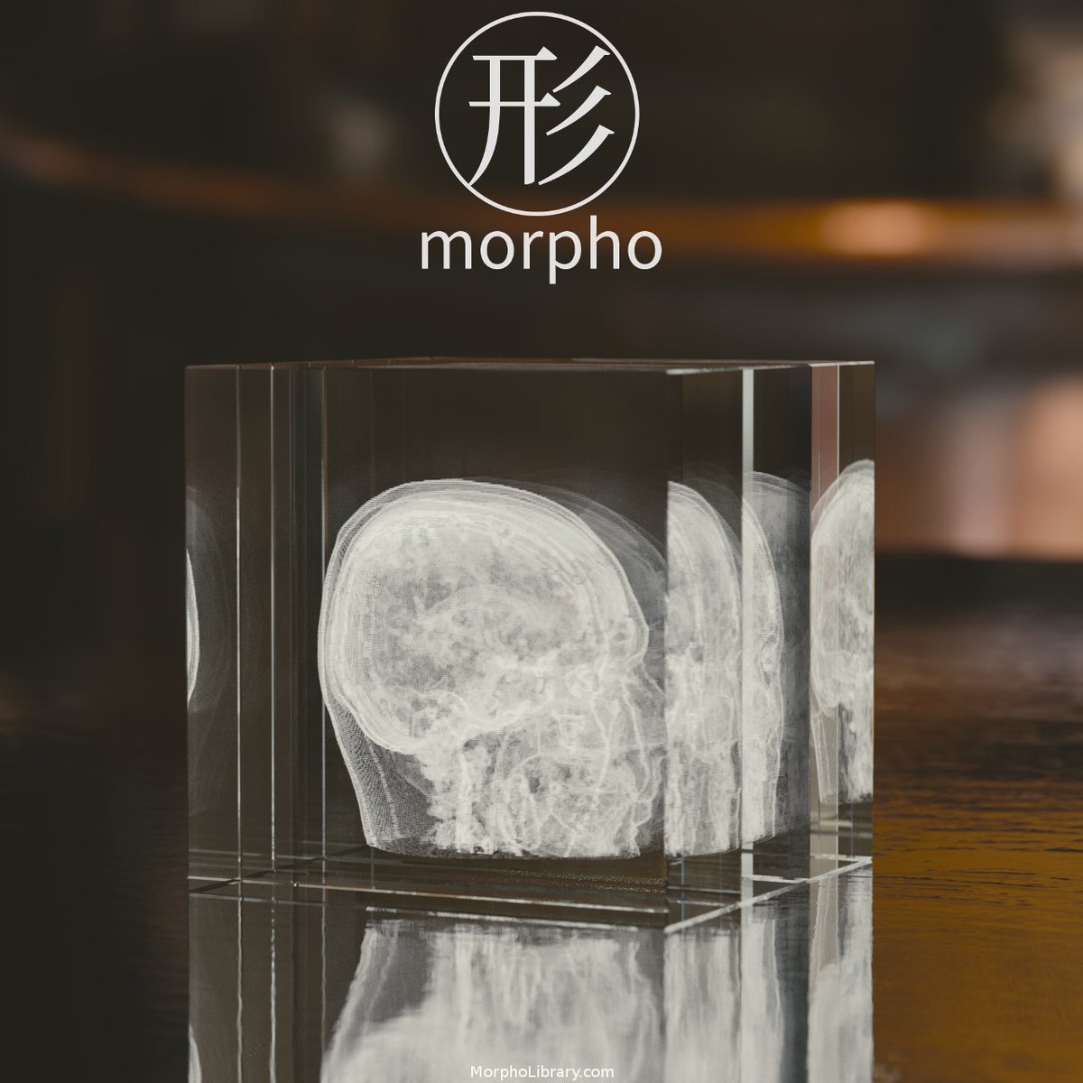 morpholibrary's tweet photo. Human brain crystal engraving, can be assembled or split in 3 pieces,😏, #glassengraving,#crystalengraving,#brain, #crystals,#3d,#gifts https://t.co/bg35p8P05T