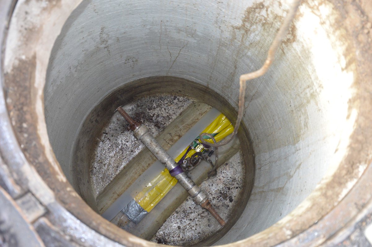 Viabuild! tweet media