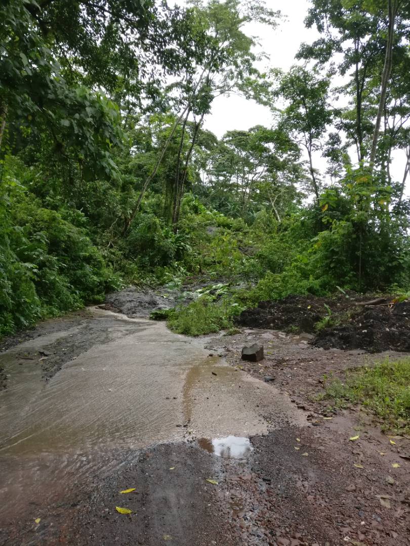 Barranco negro vía macanillo osea no hay paso @PCsancristobal