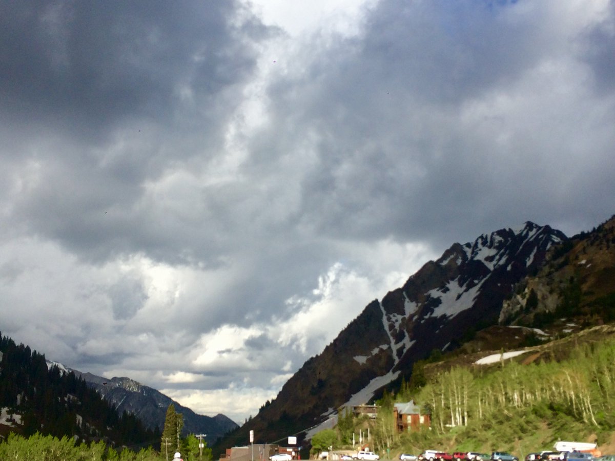 RustlerLodge's tweet photo. Good morning from, Alta! The Superior butterfly is finally out! #summerinalta #mtsuperior #butterfly #rustlerlodge https://t.co/AbG6yNVVMB