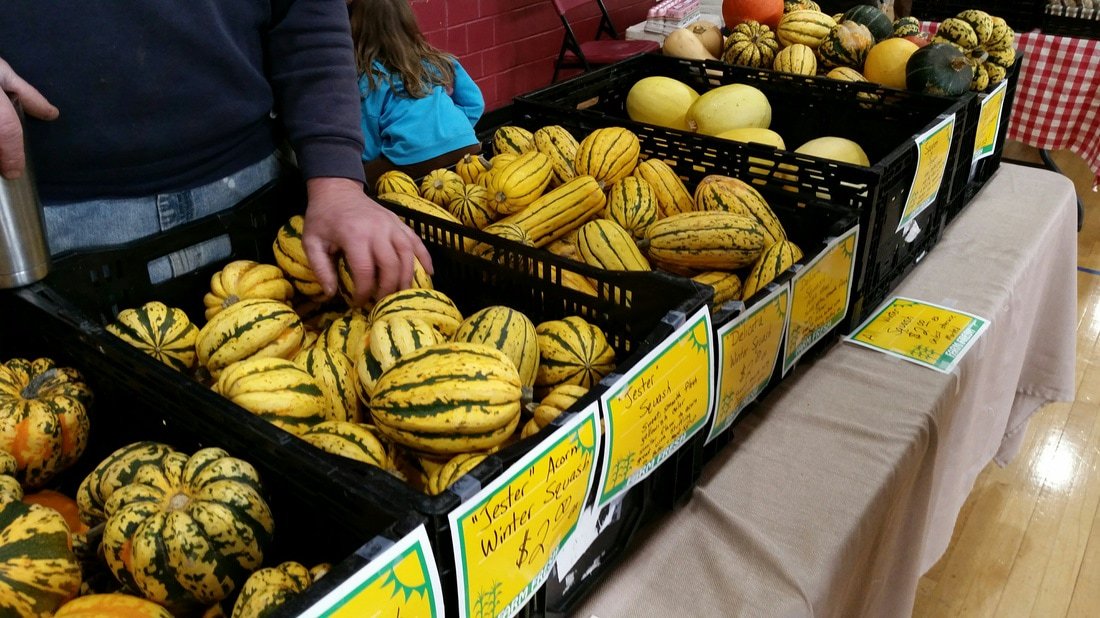 LilFishDesignCo's tweet image. Check out the food and fun at the local Morgantown Farmers Market- a former #LittleFish client! ➡️
youtube.com/watch?v=3oluKB…