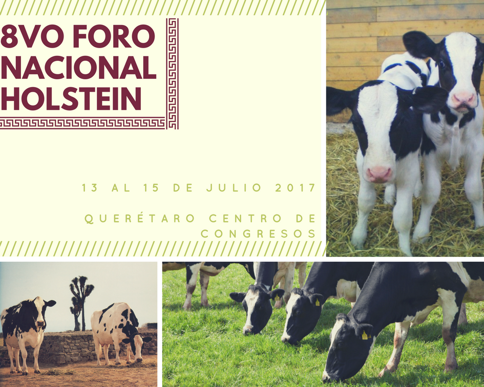 Holstein Américas tweet media
