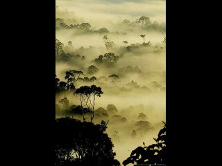 Suci (@aprianiisuci) on Twitter photo 