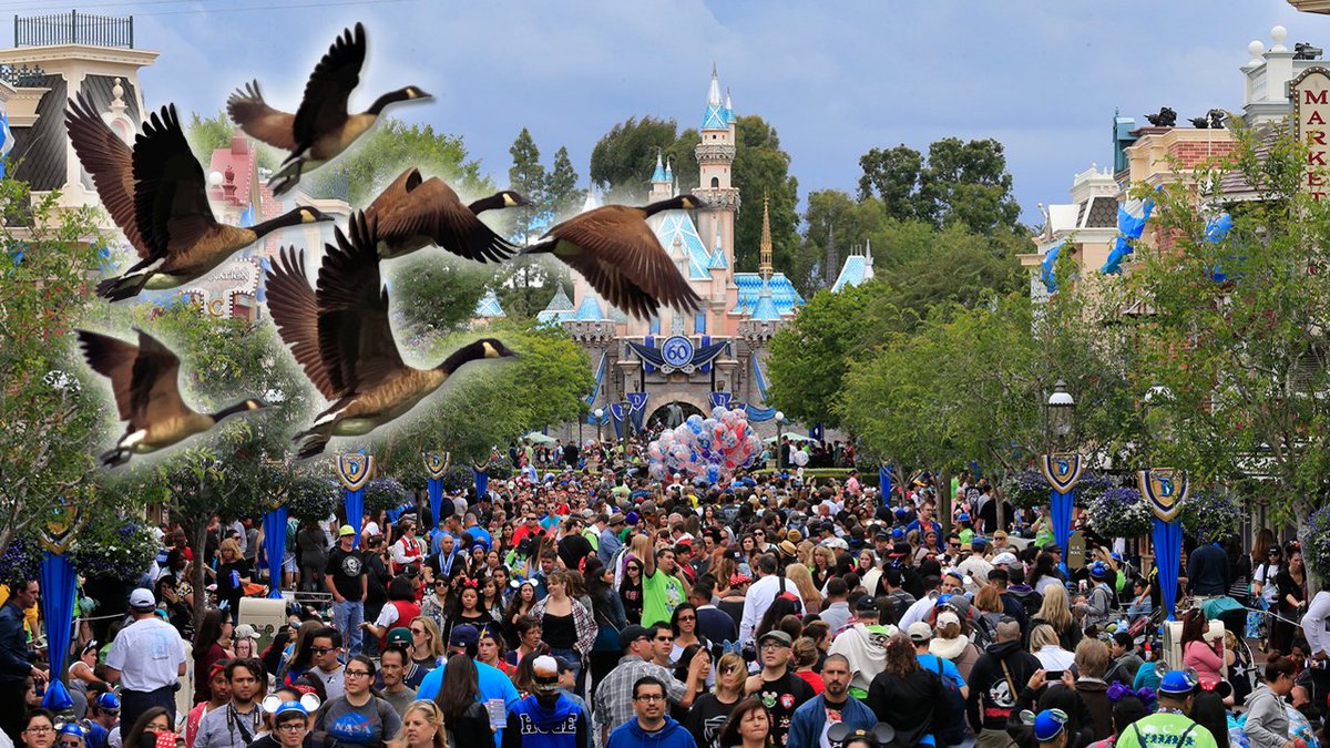 Flock of geese poop on 17 visitors at Disneyland bit.ly/2s2Kln8 https://t.co/b1ehYi4k9q