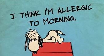 UTEP_AAC's tweet photo. Good morning, Miners! Today is the first day of Summer I. Your advisors are here 8a-5p all week if you have any questions. #utepaac #utep https://t.co/y78BhE7Pnd
