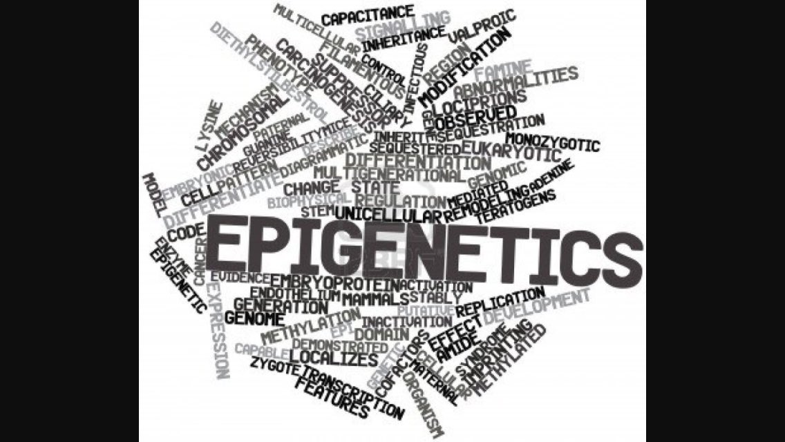 #ADA2017  comparando dieta ⬆️proteínas con ⬆️hidratos carbono mejor perfil metabólico por cambios epigeneticos favorables de high protein