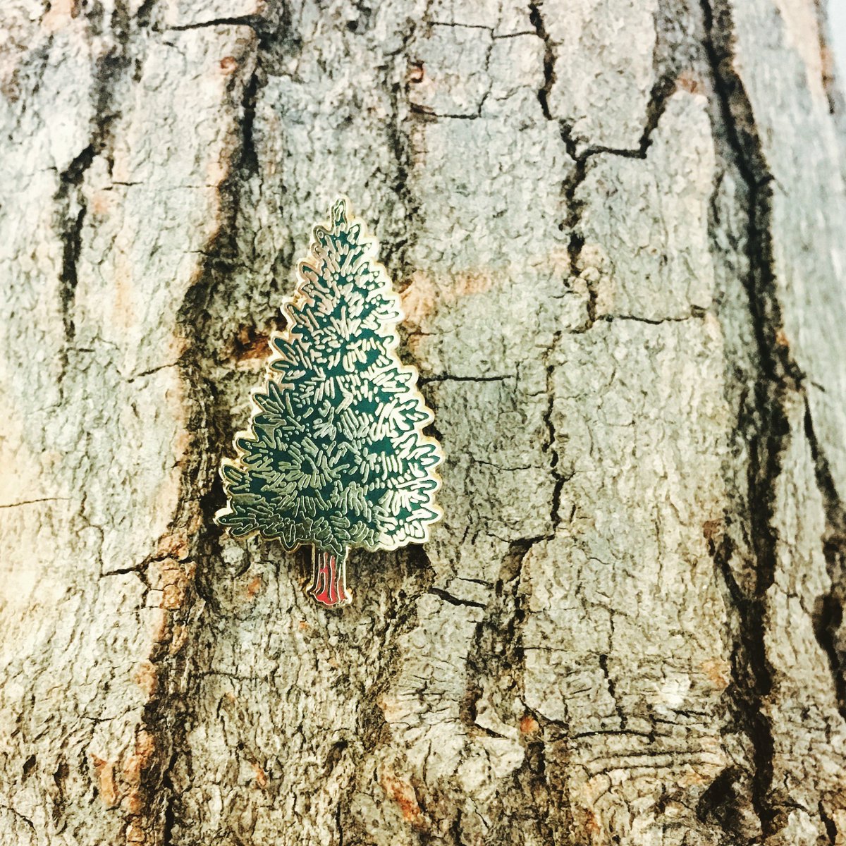 PinSource's tweet image. The big tree is #nature's #masterpiece ...the greatest of living things.
~ #JohnMuir #lapelpin #pingame #nature #forests #pin #pins #woods