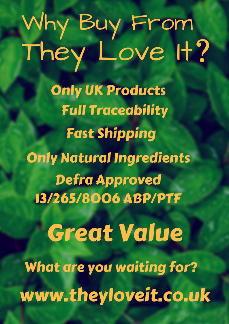 They_Love_It's tweet photo. https://t.co/GiEz9WNt1L
#rawfeeding #dogs #rawdogfood #rawfeedingcommunity #preymodelraw #dogs #dogsofinstagram #theyloveit https://t.co/G5yhk1wgKQ