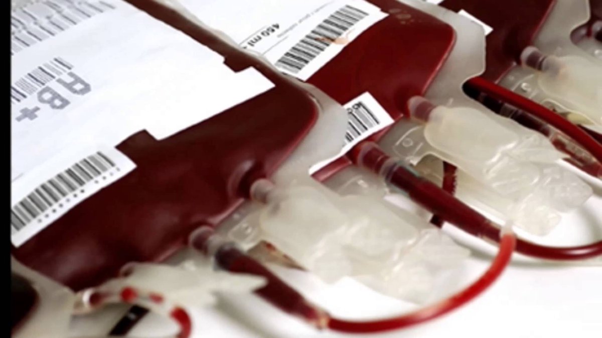 lafm_es's tweet photo. #Jerez celebra el #DiaMundialdeldonantedesangre con una colecta especial en el Blas Infante #DonaSandre https://t.co/7GVdgQuezz https://t.co/kRpYIdb60a