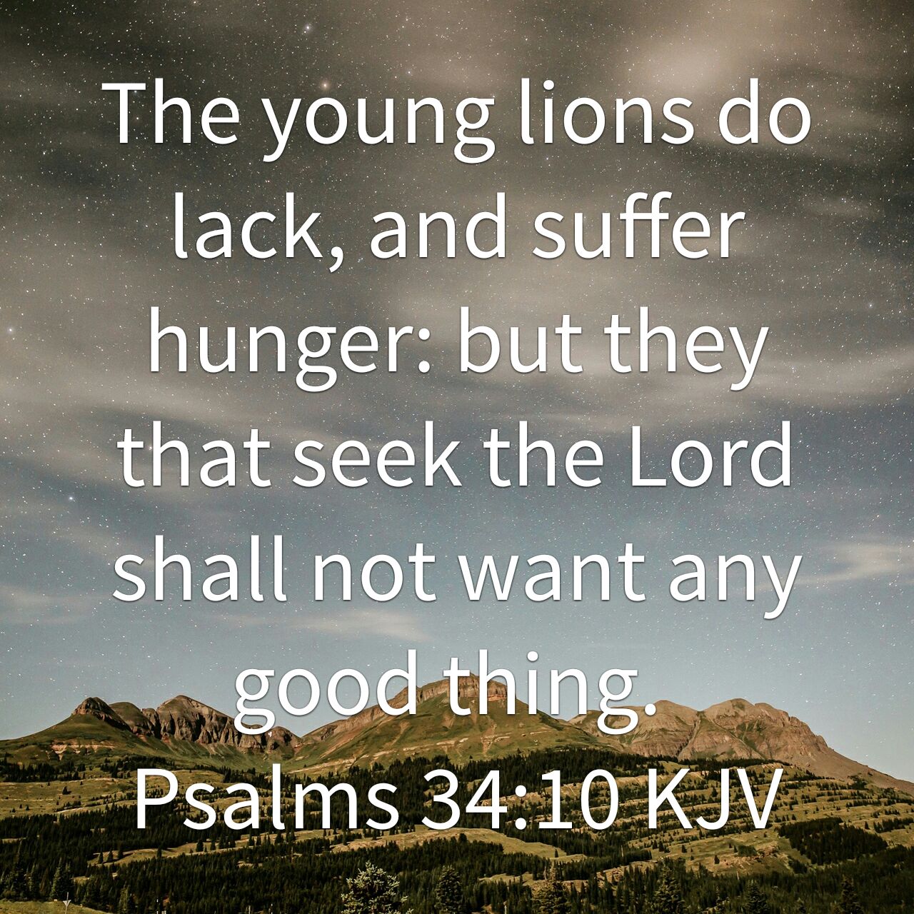 The young lion do lack and suffer hunger