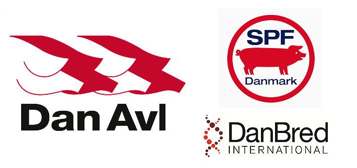 Now Porcitec users can exchange genetic data directly with the DanBred company in just one click via Internet.