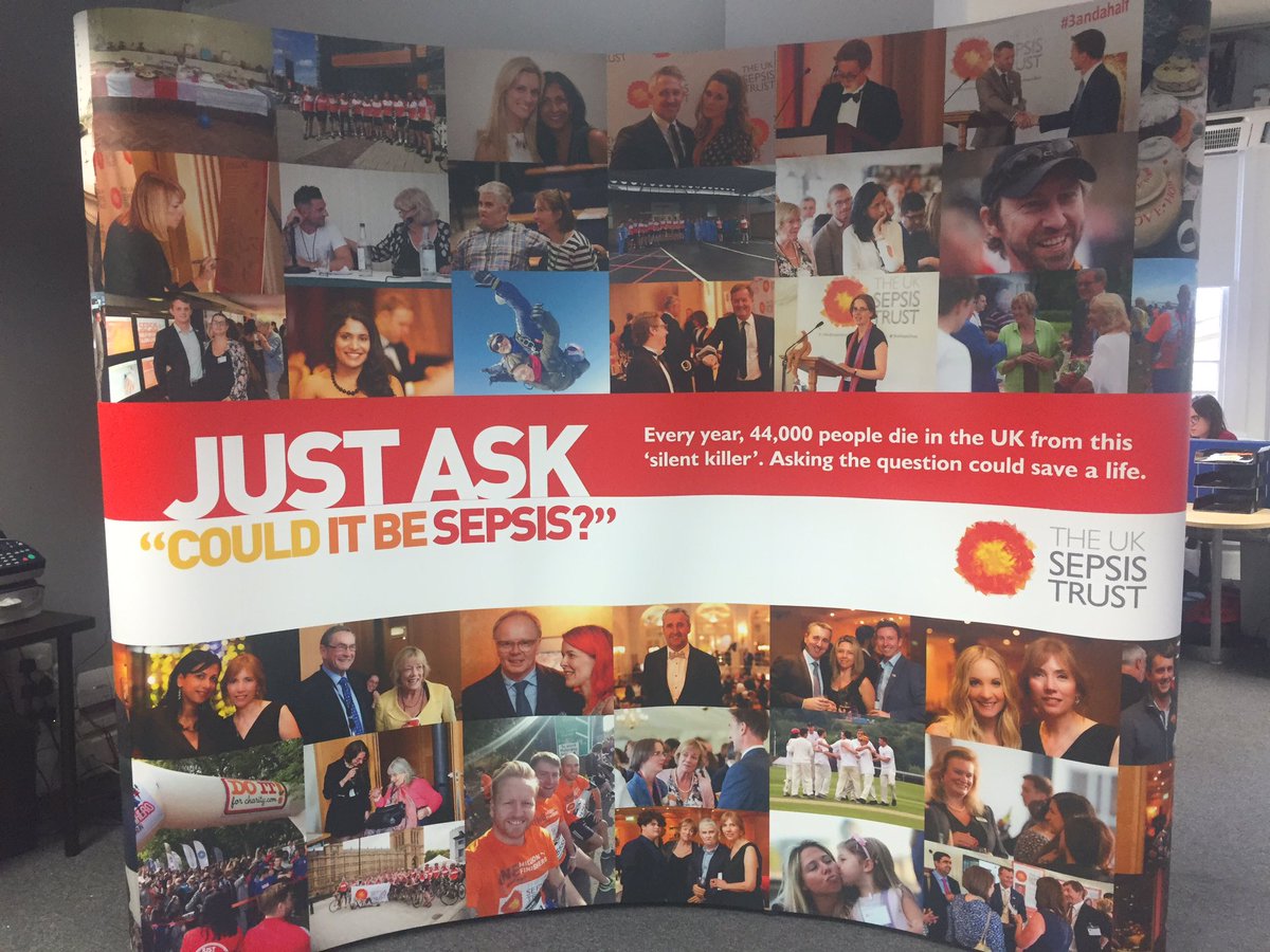 SepsisUK's tweet photo. An 8ft x 8ft synopsis of a 5 year journey.... #sepsis https://t.co/vyBqgtIrwO