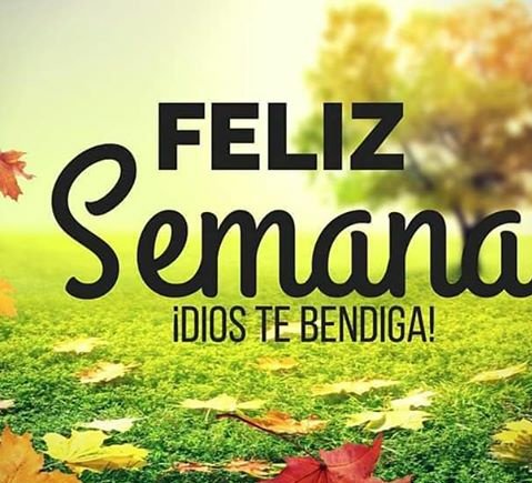 EdithEncaladaMX's tweet image. iQue el amor ❤de  Dios se manifieste cada día, en cada detalle, sonríe es lunes! #FelizLunes #HappyMonday! #Música  #MusicInspiresLife 🎶