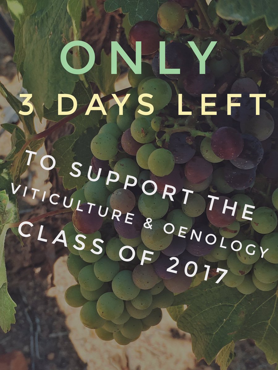 Laaste kans! (You know you want to) 😜
Ons #crowdfunding campaign eindig Woensdag, om middernag. 

thundafund.com/project/swiss17
<a href="/Thundafund/">Thundafund</a>