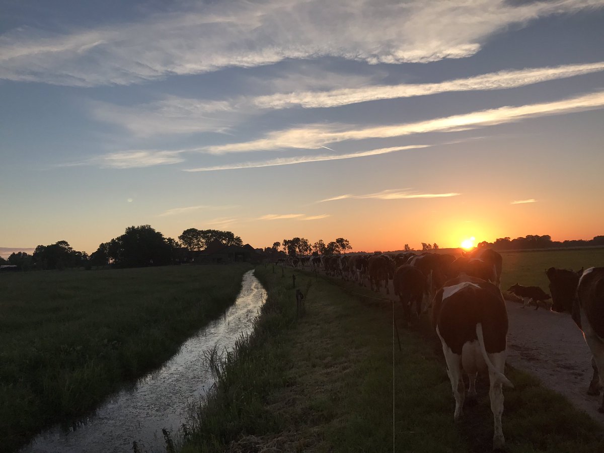 Jaring Brunia tweet media