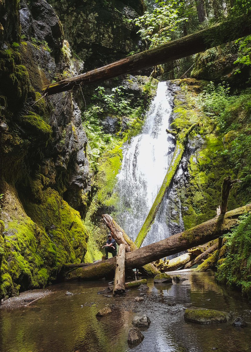 Umpqua Nat L Forest On Twitter Cottage Grove Ranger District