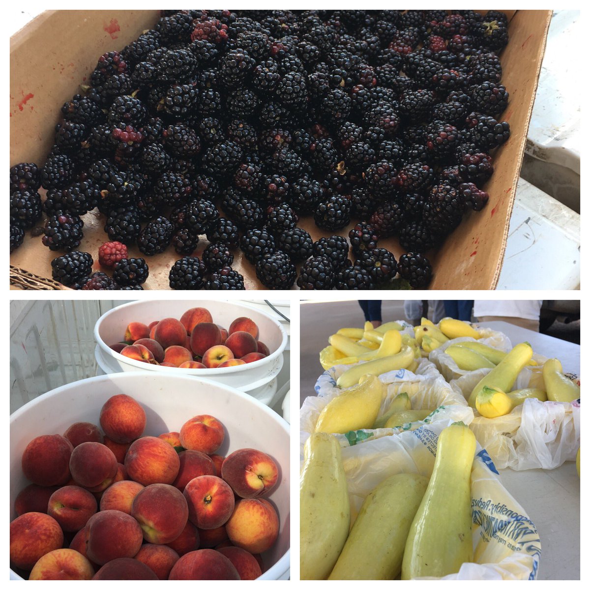 Come on over to the Farmers Market, "Down Town Selmer" Fruits &amp; Vegetables available 
<a href="/meetmcnairy/">McNairy Tourism</a>