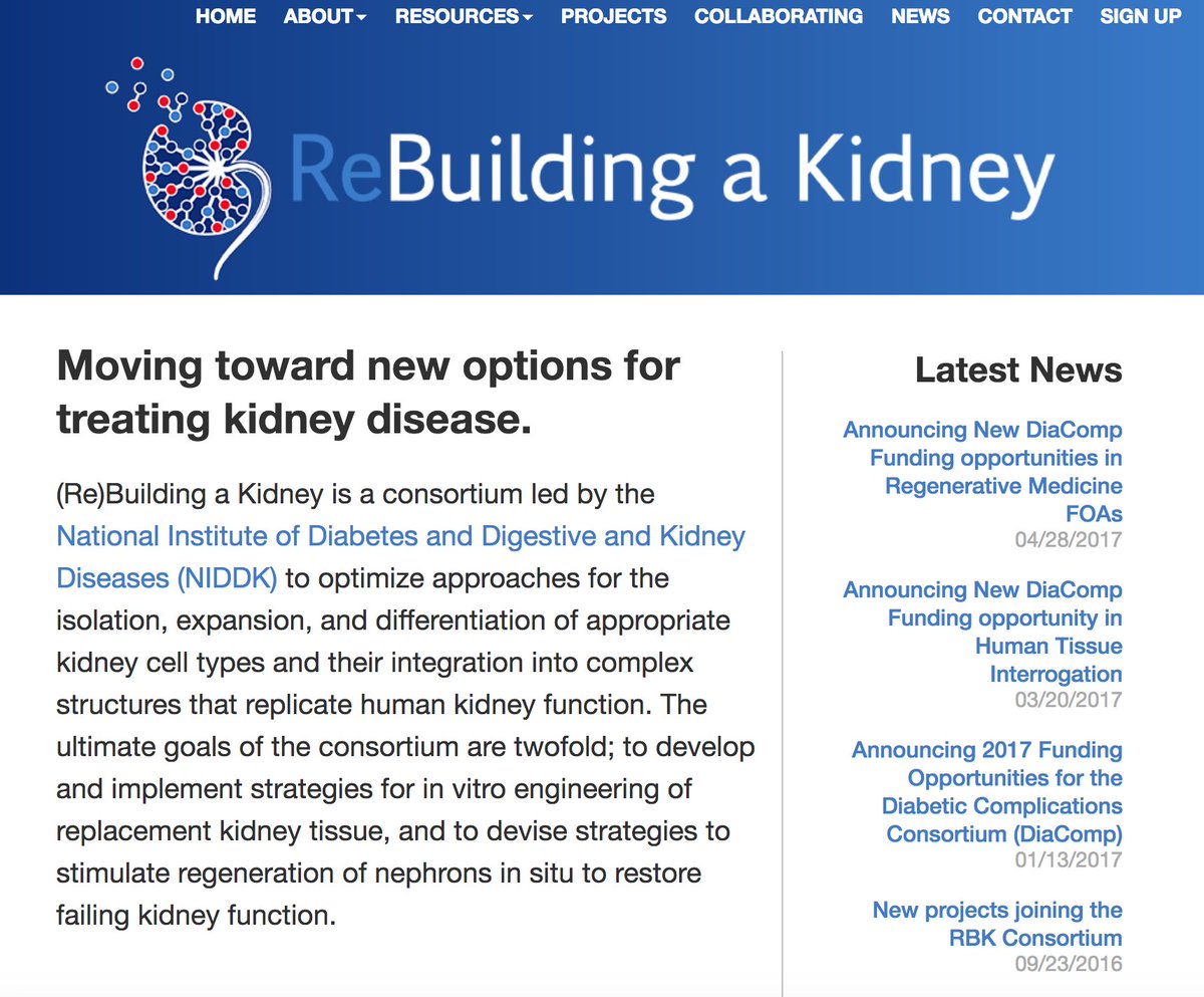 (Re)BuildingaKidney tweet media