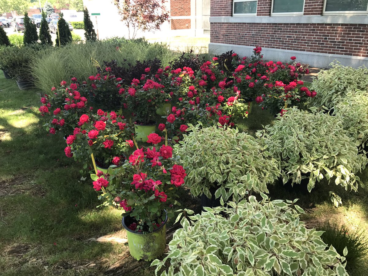 Will Reichelt tweet media