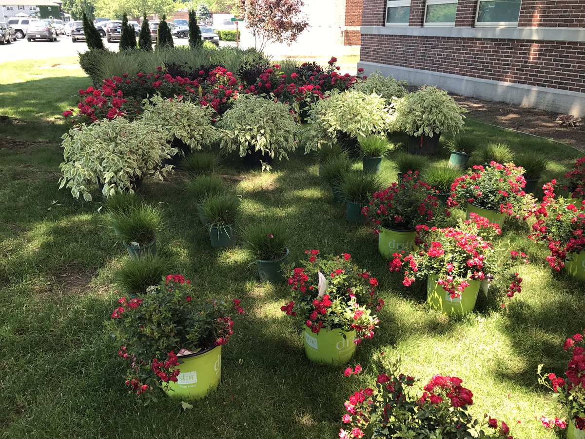 Will Reichelt tweet media