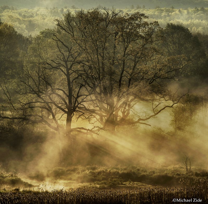 MoabPaper's tweet image. Moab Master, @MichaelZide 's photos are now in the Michele and Donald D'Amour Museum of Fine Arts in Springfield, MA. All on #EntradaRag