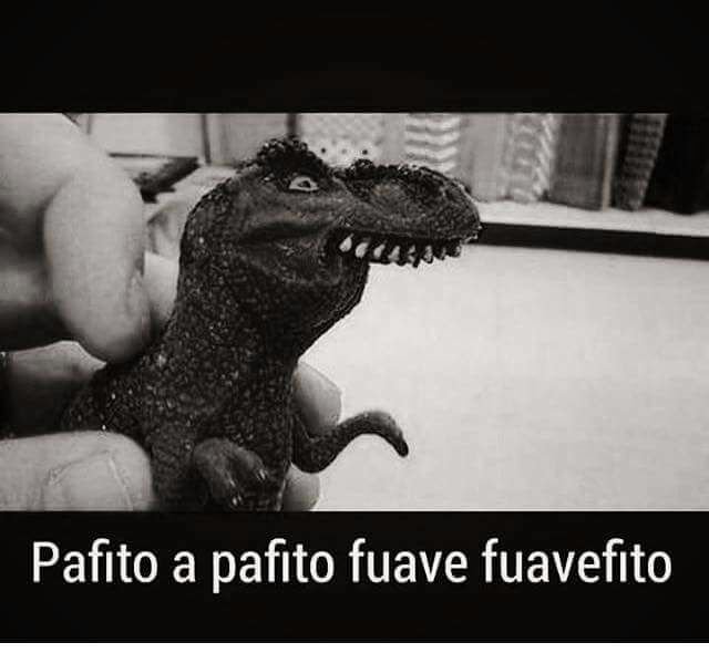 Ana_vickiy's tweet image. 😂 algo así,yo cuando me pusieron el braket 😂😂😂