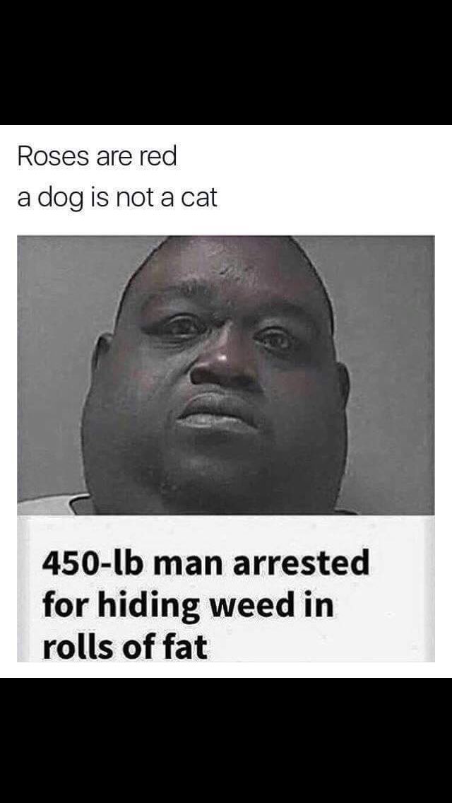 indian_freakboy's tweet photo. #dankmemes #MemeMonday https://t.co/g46O2B2uWq