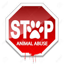 Mardeponientear's tweet photo. Andrew Malin #maltratoanimal https://t.co/guU5IKds64