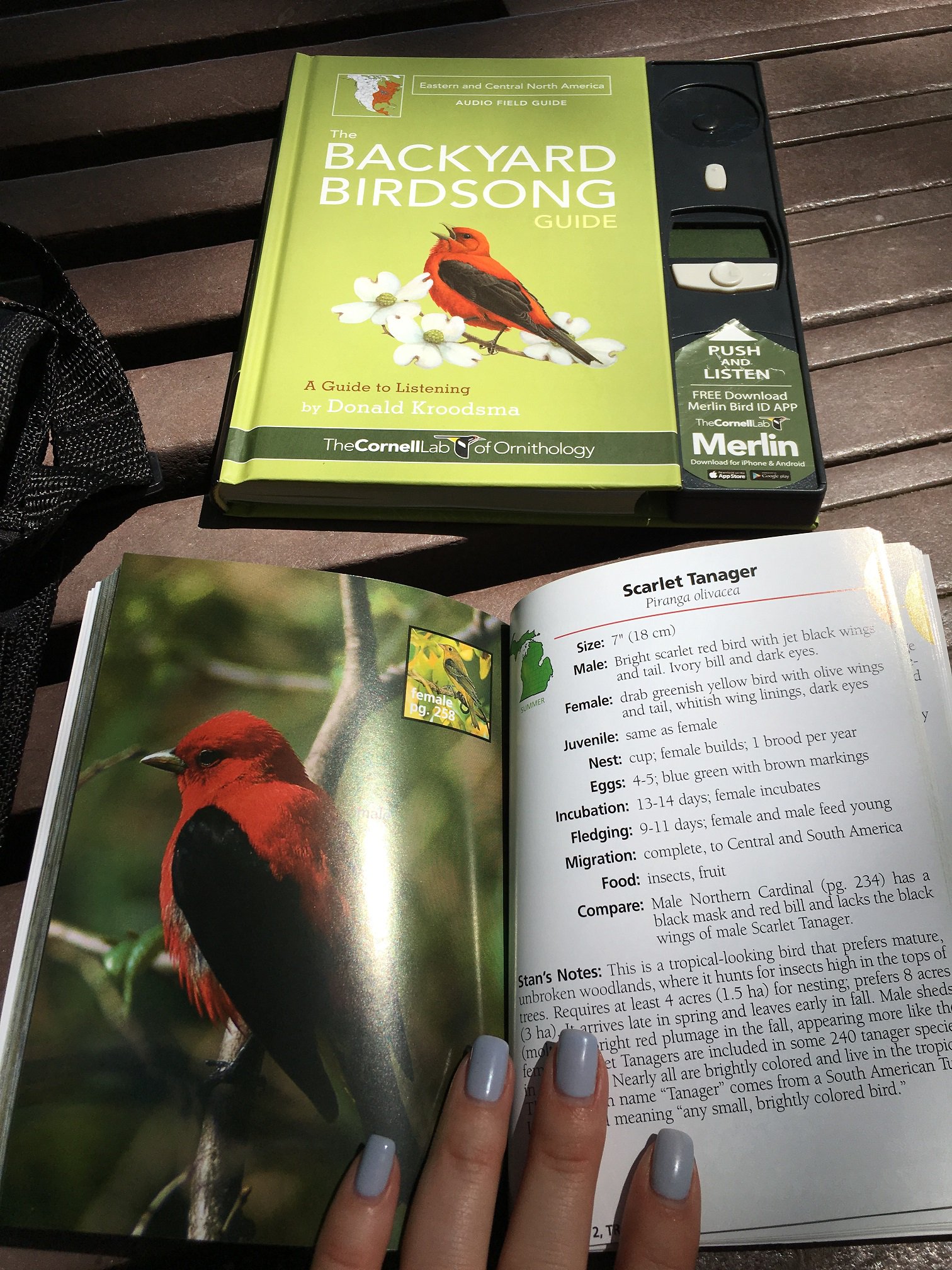 Rochester Hills Lib On Twitter Using The Binoculars I Spotted