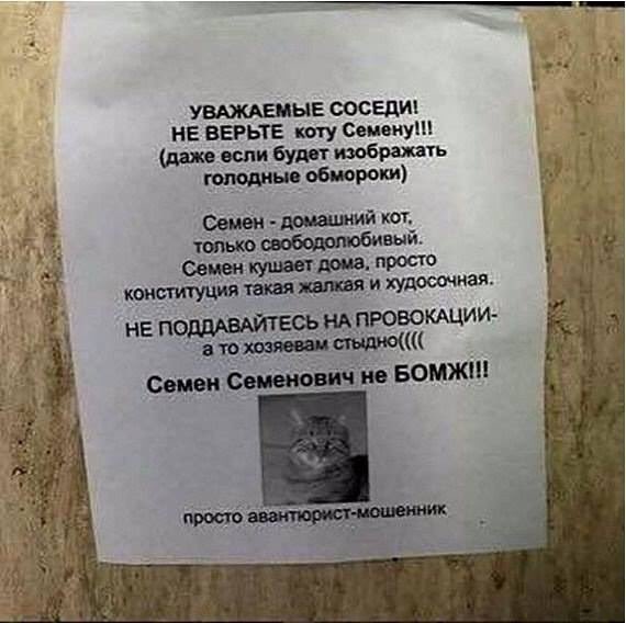 Мэр Николаева сбежал от полиции через балкон своего кабинета, - "НикВести" - Цензор.НЕТ 7842