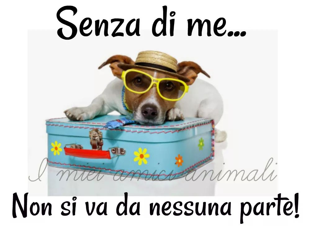 Chi abbandona auguro le peggiori vacanze