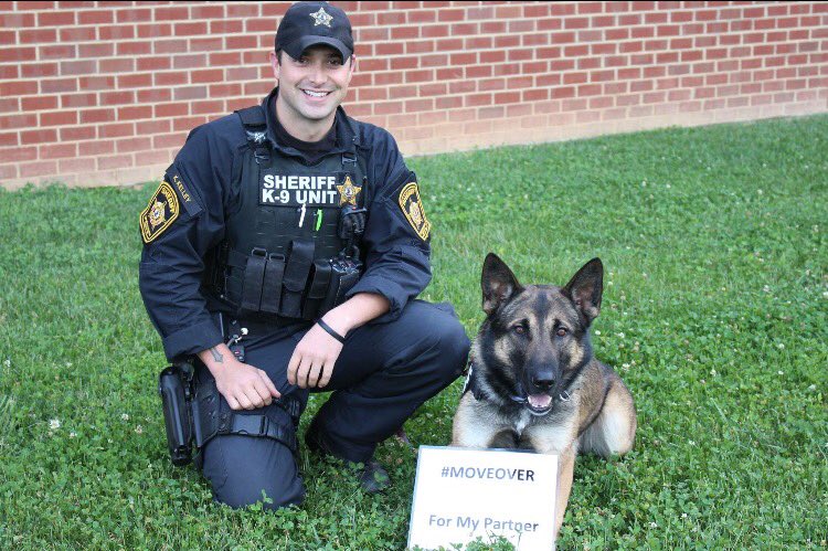SpotsySheriff's tweet photo. Deputy K-9 Dux would like to ask all drivers to slow down and #MoveOver for his partner Deputy Kelly! 🐾#MoveOverVA https://t.co/t3XSlDKwwq