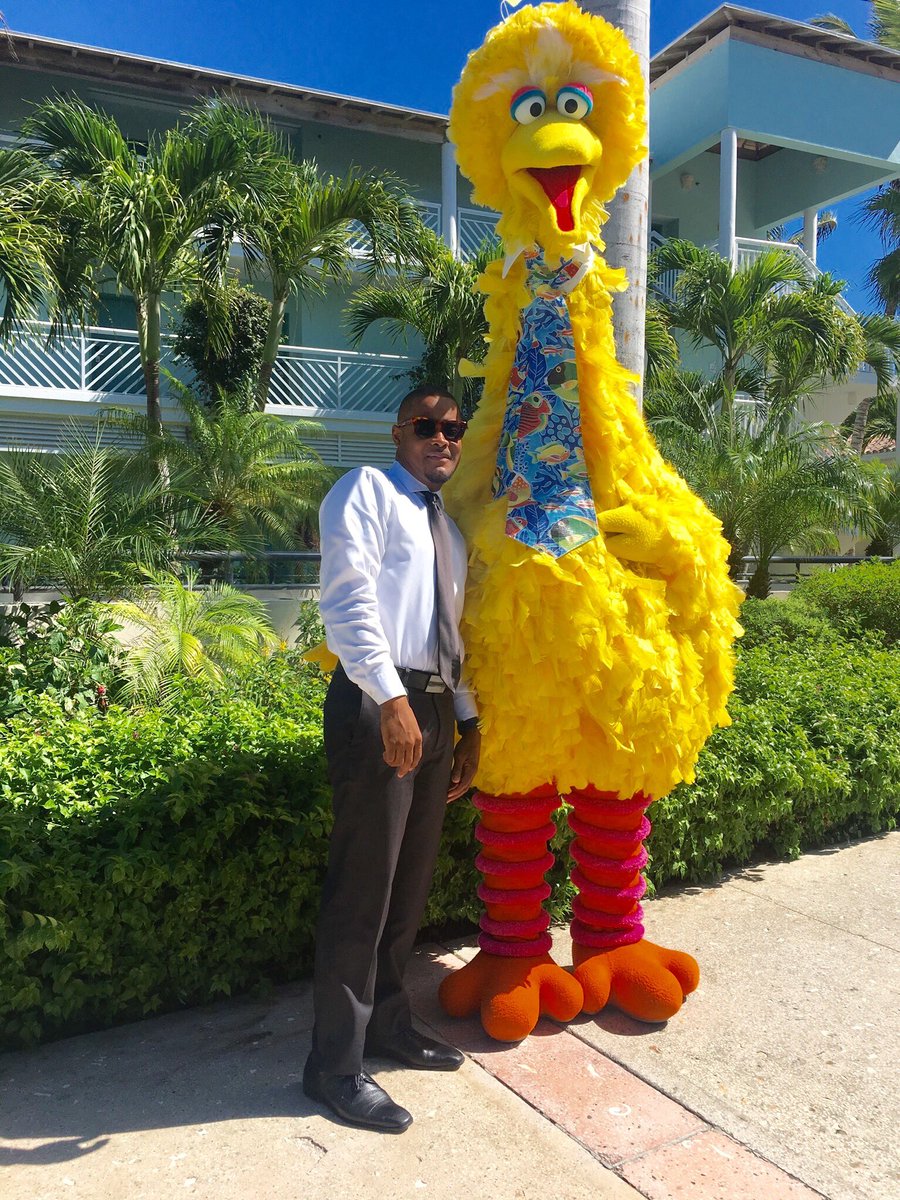 TheteamVip's tweet photo. Look who finally stopped by... #BigBird #sesamestreet #sunnydayz  #smile #stayhappy #turksandcaicos #beachesresorts https://t.co/CphGhjEVjA