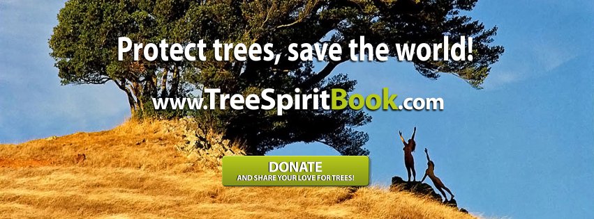 TreeSpiritEvent tweet picture