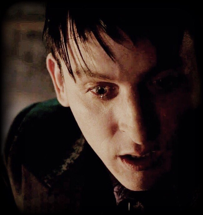 Oswald_Penguin_'s tweet image. 