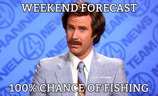 Fishing Mind (@fishingmindshop) on Twitter photo 