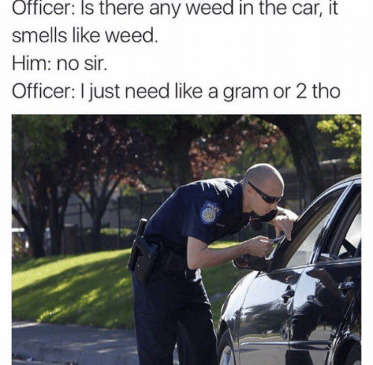 GeniusPothead's tweet image. Colorado police be like