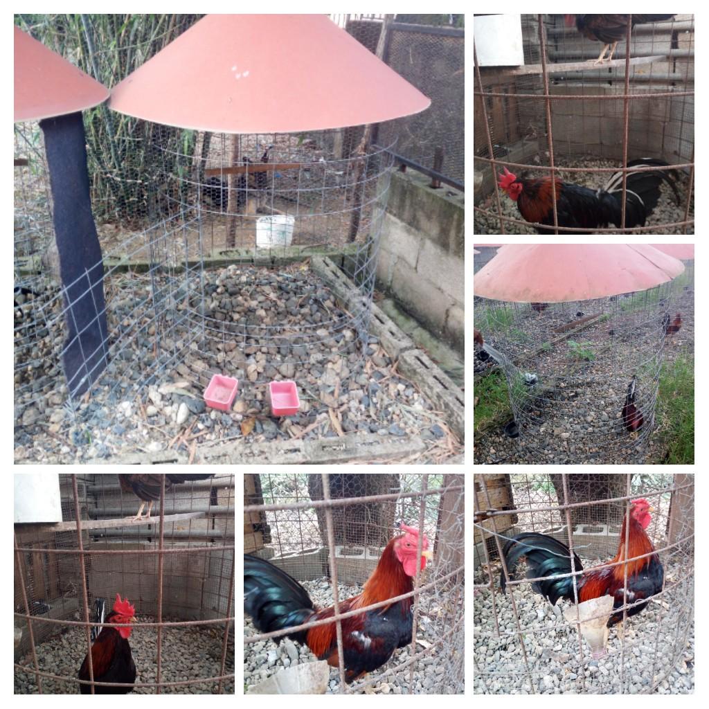 René Alexander (@renalexander10) on Twitter photo 