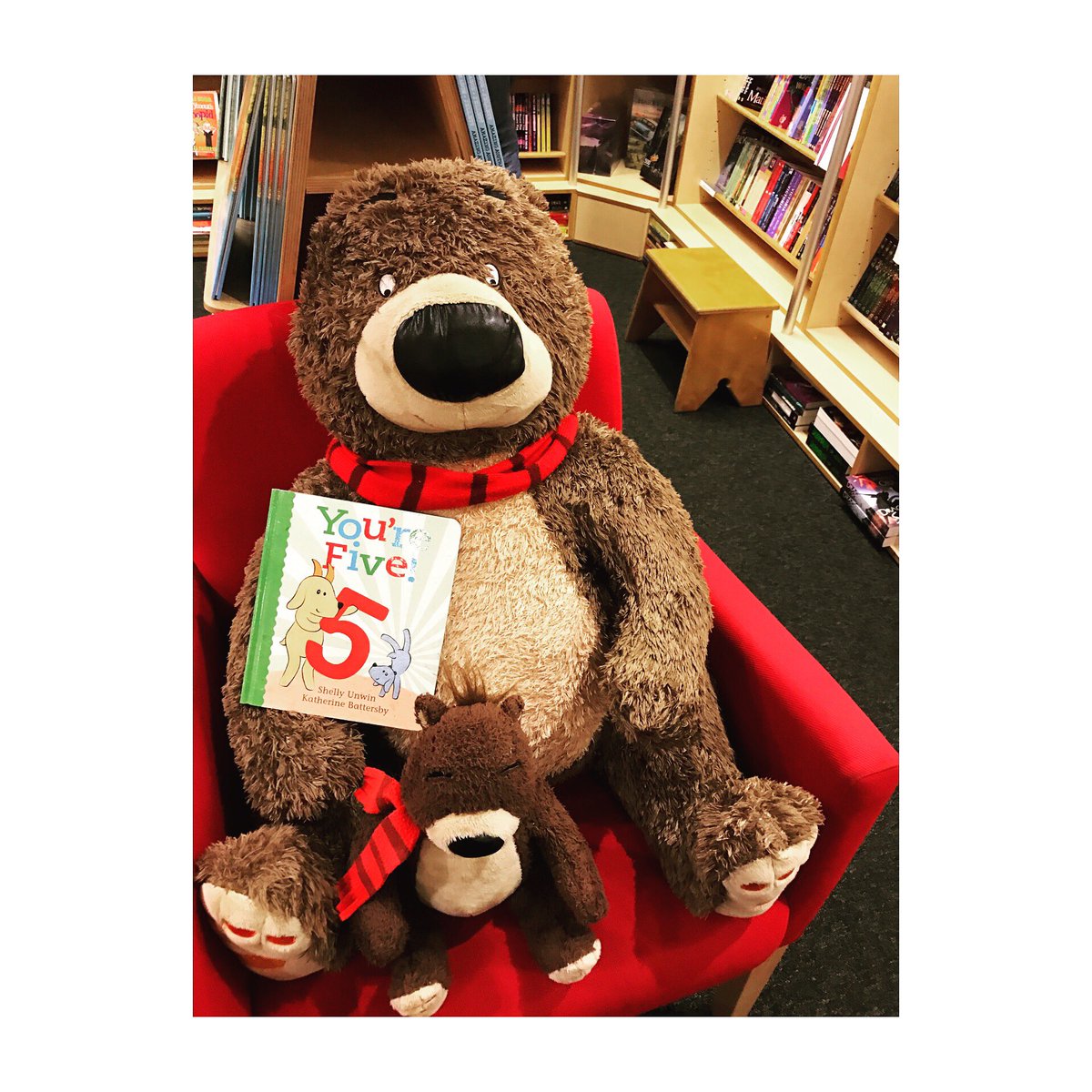 picturebookbc's tweet photo. Spotted @RiverbendBooks ... Big Douglas and Little Douglas enjoying @unwin_shelly and @KathBatt 's #yourefive series! https://t.co/UMuVjA8fRE