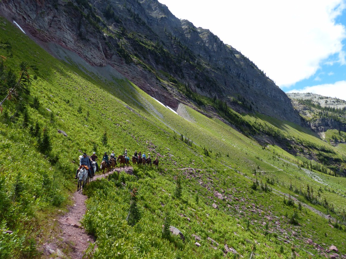 Fun fact: Our present Head Guide is 82 year-old mountain man Dee Barrus; the Legend of Waterton.

Ride with us: bit.ly/TrailRidersAB