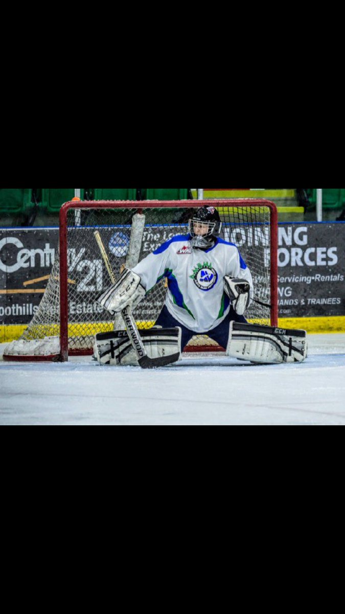 WHLHitmen's tweet photo. ICYMI: We profiled our 10 2017 WHL Bantam Draft picks to get to know them better. Check out the site to find out more! https://t.co/mVj7qMQIji