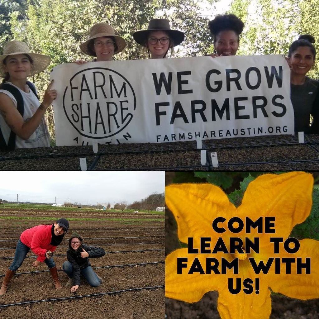 So, you think you wanna be a farmer, eh?
Come learn with us!  Farmshare Austin is accepting applications for our Farmer Starter 18 week int…