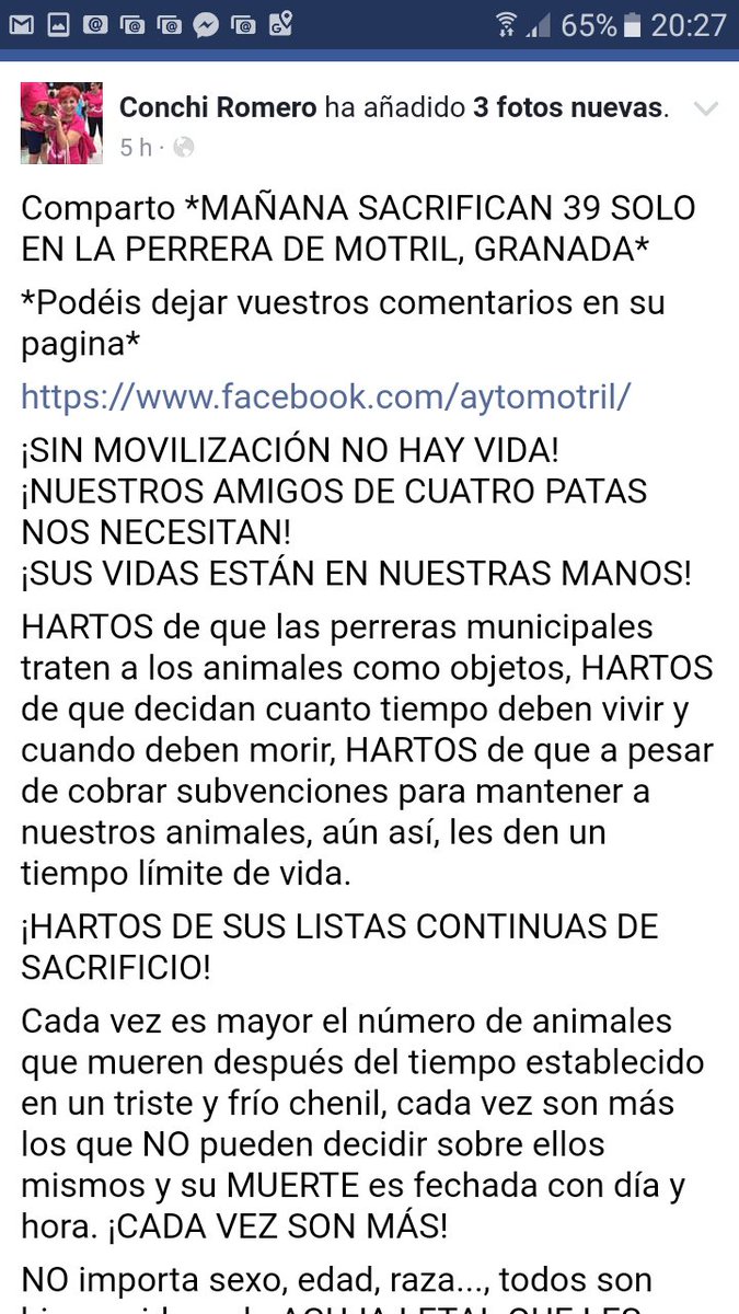 irisrasputincon's tweet photo. https://t.co/HLTXcsXM9f
MOTRIL,GRANADA!!PERRERA ASESINOSSSS!!!! https://t.co/fK7mZlaO7Z