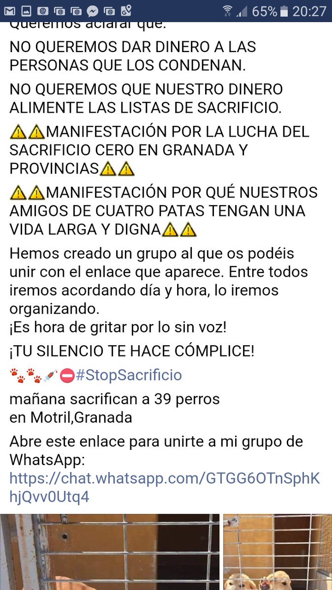 irisrasputincon's tweet photo. https://t.co/HLTXcsXM9f
MOTRIL,GRANADA!!PERRERA ASESINOSSSS!!!! https://t.co/fK7mZlaO7Z