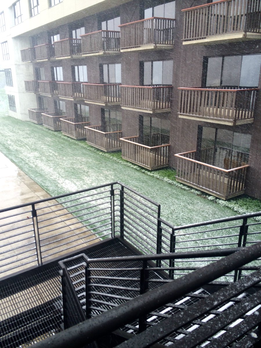 RustlerLodge's tweet image. #currently #nuketown #snowinjune #alta #officeview