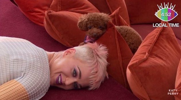 katyspics's tweet photo. Today is the last day of #KPWWW, RT if you will miss seeing this cutie 24/7 https://t.co/XsRpLPIeOW