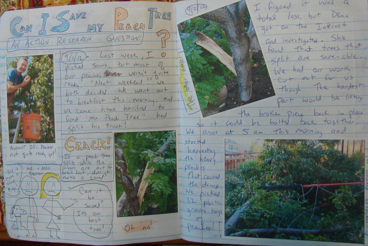 WritingFix's tweet image. Find new #writinglessons this summer. Prepare to teach them by doing the assigned writing yourself: corbettharrison.com/LotM.htm#archi… 
#teachermodels