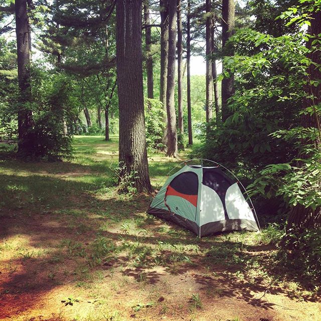 conservcorps's tweet photo. "This area is rich with the scent of pine and the shade is plenty, I shall live here."
-Chris Mukina #interstatestatepark https://t.co/1rAPK3xYBX